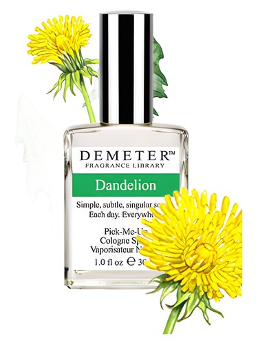 Dandelion