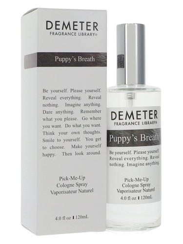 Puppy's Breath