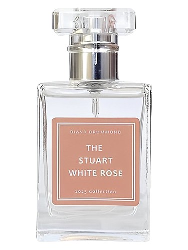 The Stuart White Rose