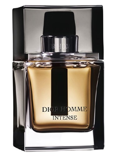 Dior Homme Intense 2007 for Man 2007