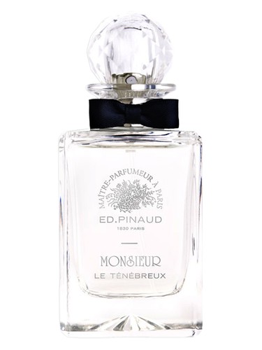 Monsieur de Ed Pinaud Le Tenebreux