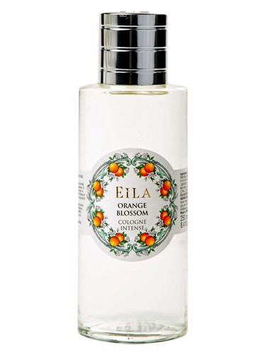 Orange Blossom