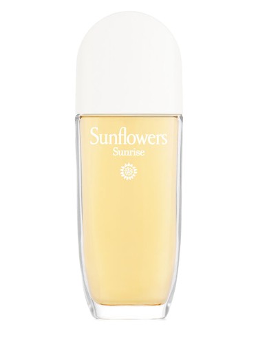 Sunflowers Sunrise
