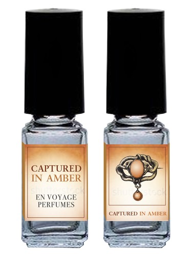 Captured in Amber