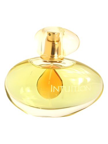 Intuition 2000