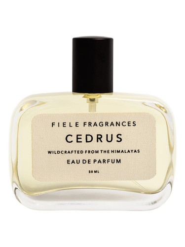 Cedrus