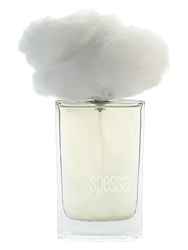 Nebbia Spessa