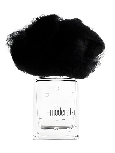 Pioggia Moderata