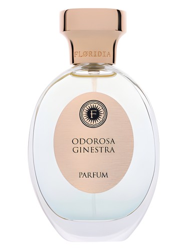Odorosa Ginestra