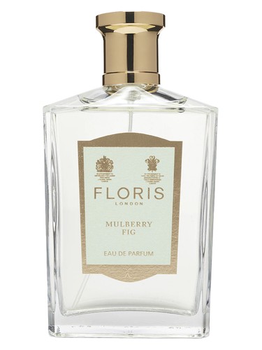 Mulberry Fig