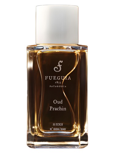 Oud Prachin