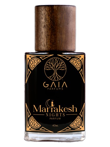 Marrakesh Nights