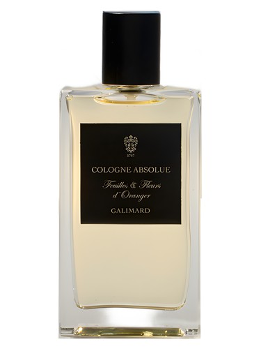 Feuilles & Fleurs d'Oranger