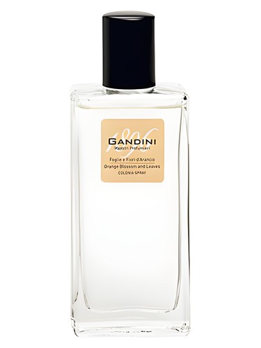 Orange Blossom & Leaf