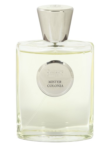Mister Colonia