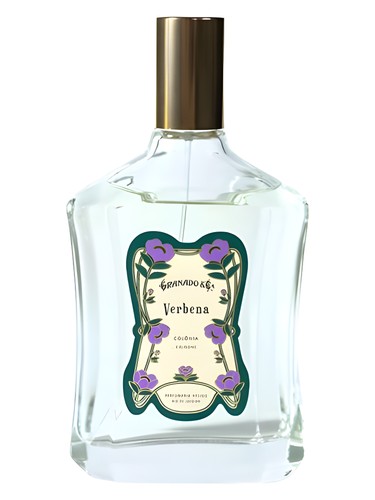 Verbena