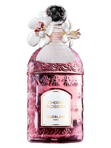 Cherry Blossom Millesime 2024 2024