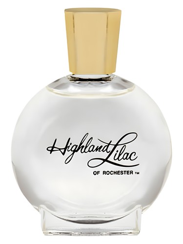 Highland Lilac