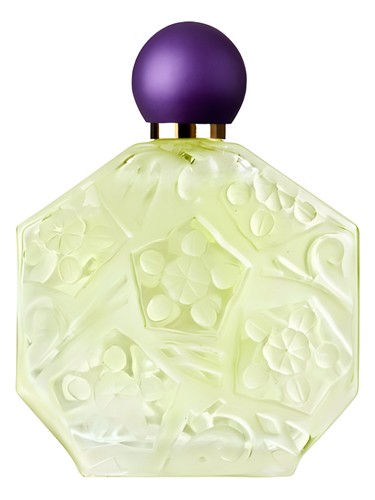 Fleurs d'Ombre/Violette-Menthe
