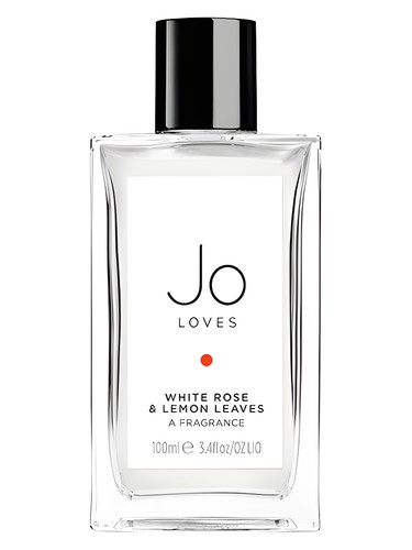 White Rose & Lemon Leaves