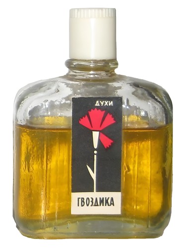 Гвоздика - Carnation