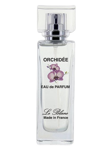 Orchidee
