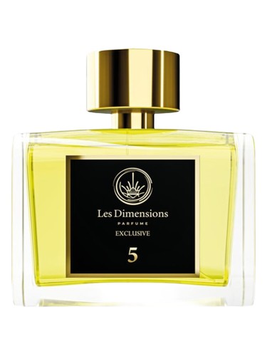 Dimension 5-Sans frontieres