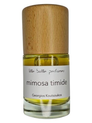 mimosa timide