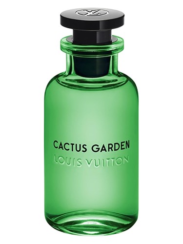 Cactus Garden