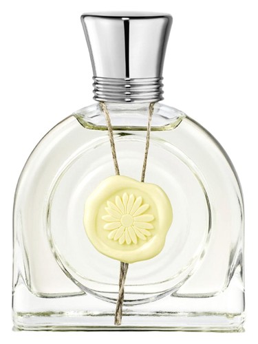Fleur Lumiere