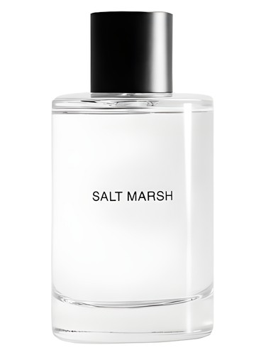 Salt March