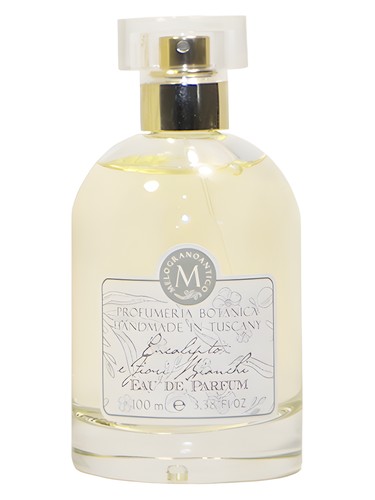 Eucalipto e Fiori Bianchi