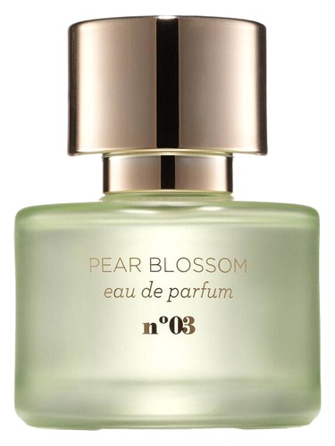 Pear Blossom