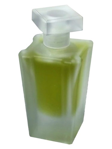 Creator 追光创想