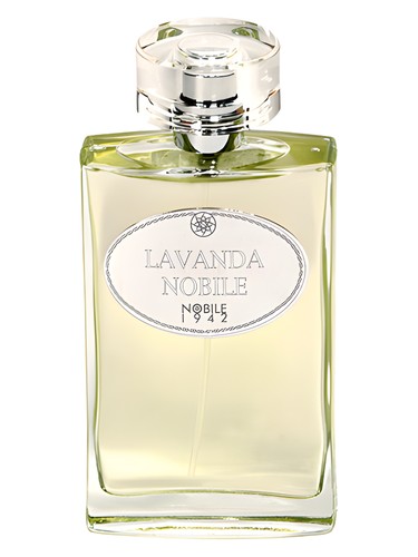 Lavanda Nobile