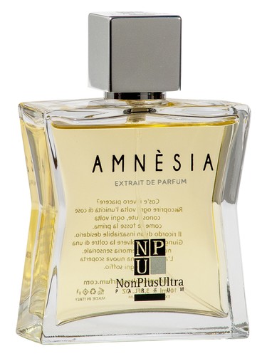 Amnesia