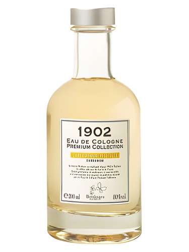 Cardamomum Vegetalis