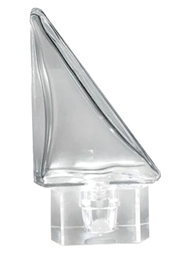 Surhomme Transparent