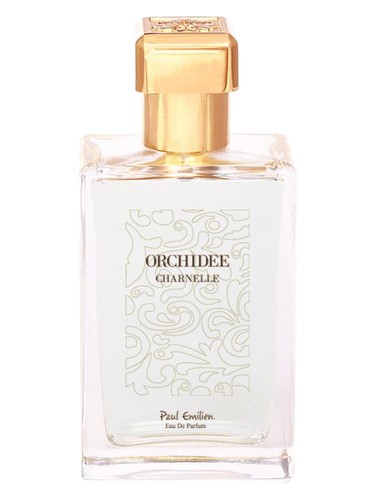 Orchidee Charnelle