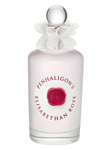 Elisabethan Rose