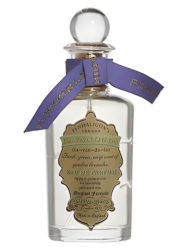 Lavandula