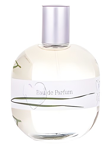 Matin d'Ete for Woman
