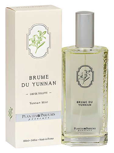 Brume du Yunnan