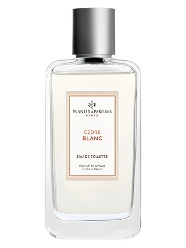 Cedre Blanc