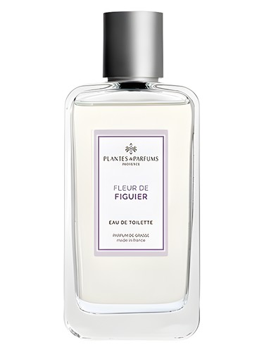 Fleur de Figuier
