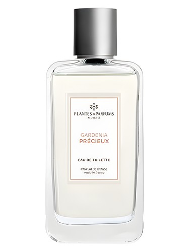 Gardenia Precieux