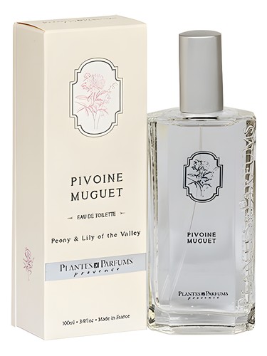 Pivoine Muguet