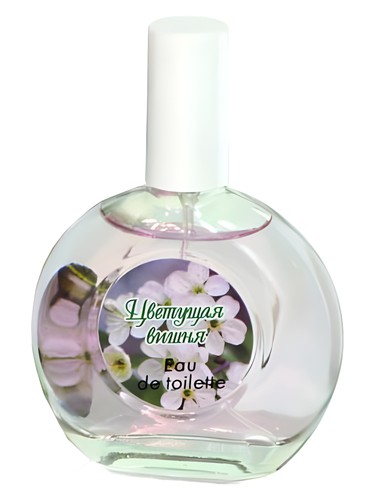 Cherry Blossom Цветущая Вишня