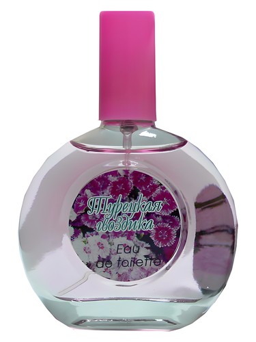 Turkish Carnation