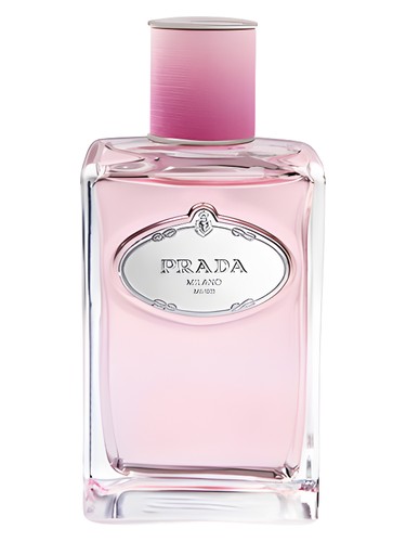 Infusion de Rose